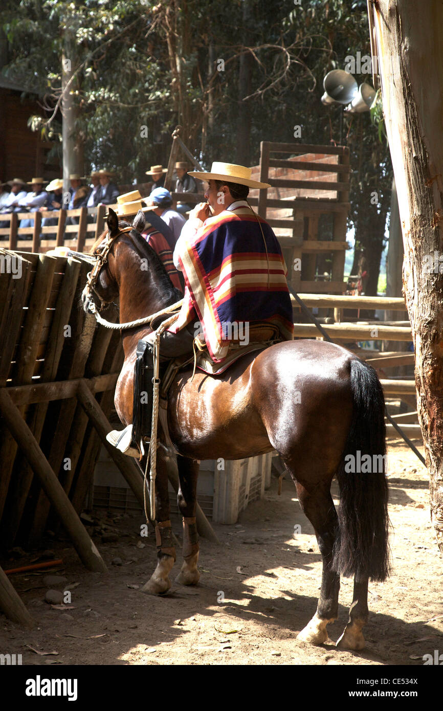 Casa Silva Rodeo Stock Photo - Alamy