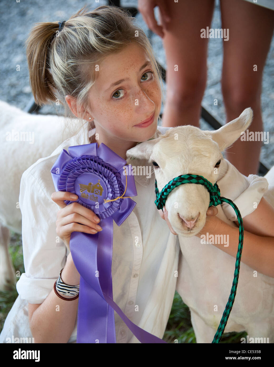 Girl with ribbon winning lamb at the Mason Dixon Fair Stock Photo - Alamy