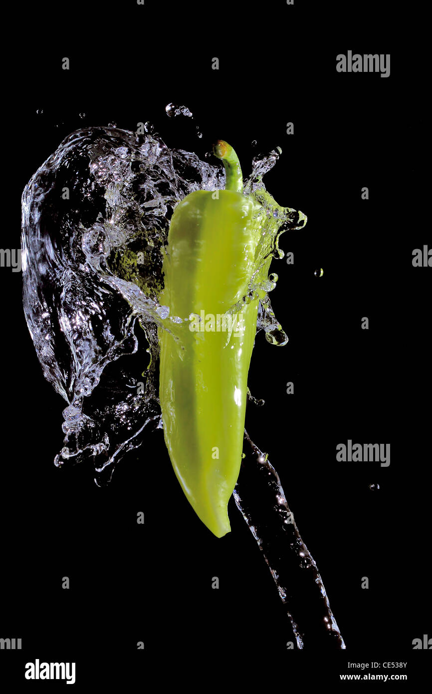 Green pepper splashed by water over black background Stock Photo