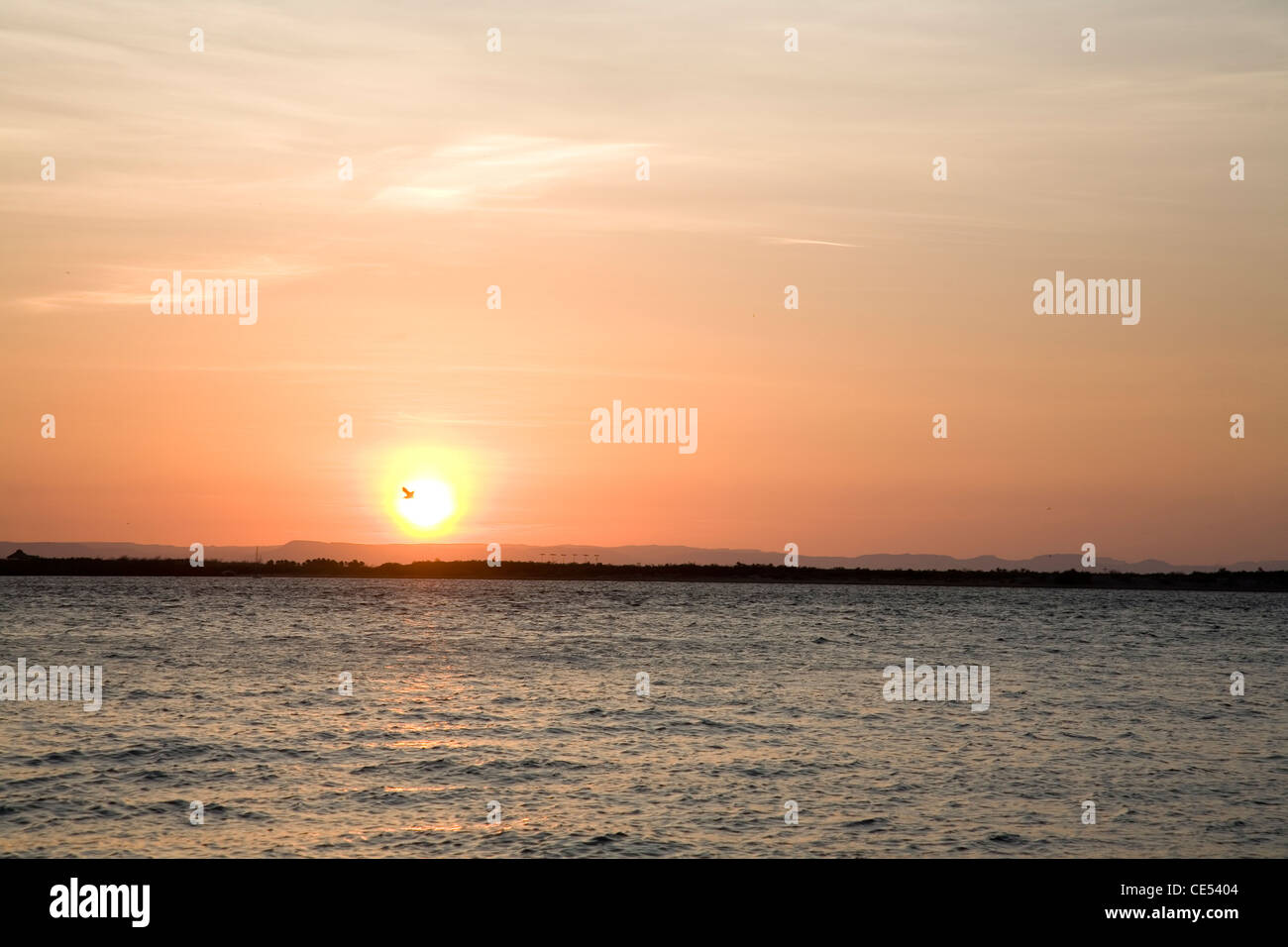 mexico sunset sea sky seagull summer red sky landscape Stock Photo
