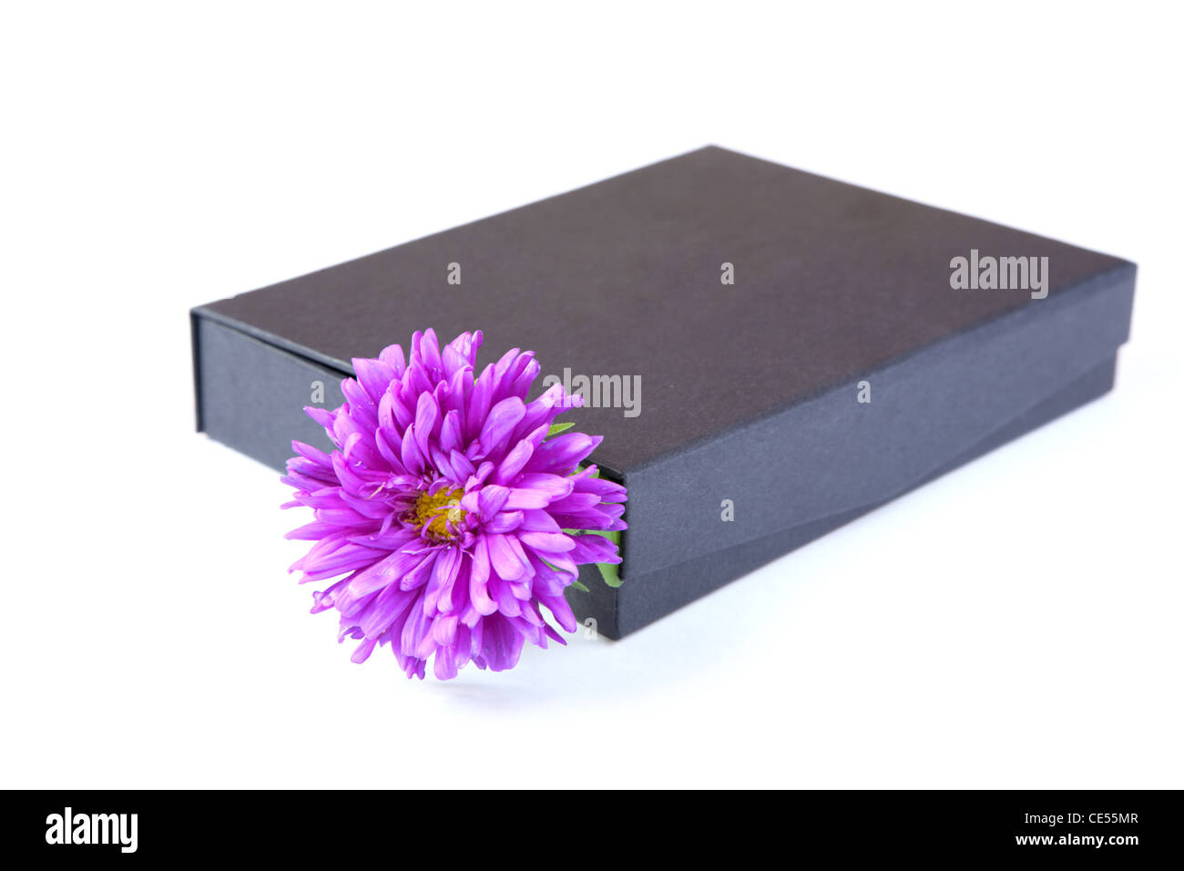 gift box with flower isolated on a white background Stock Photo