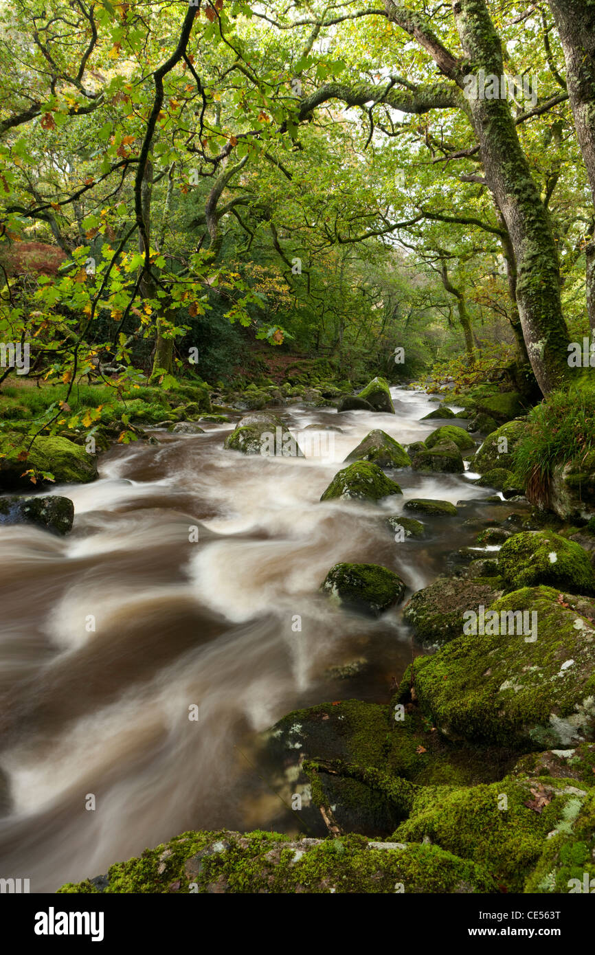 River Plym flowing through Dewerstone Wood, Dartmoor, Devon, England. Autumn (October) 2011. Stock Photo