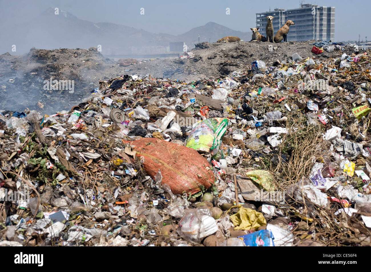A family of rag pickers pictured on a dump in Virar situated on the