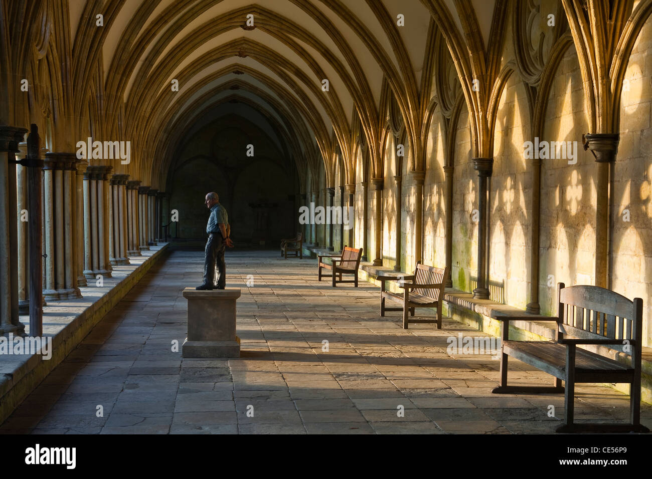 The cloisters at Salisbury cathedral in Salisbury, Wiltshire, England, UK. The statue is by Sean Henry. Stock Photo