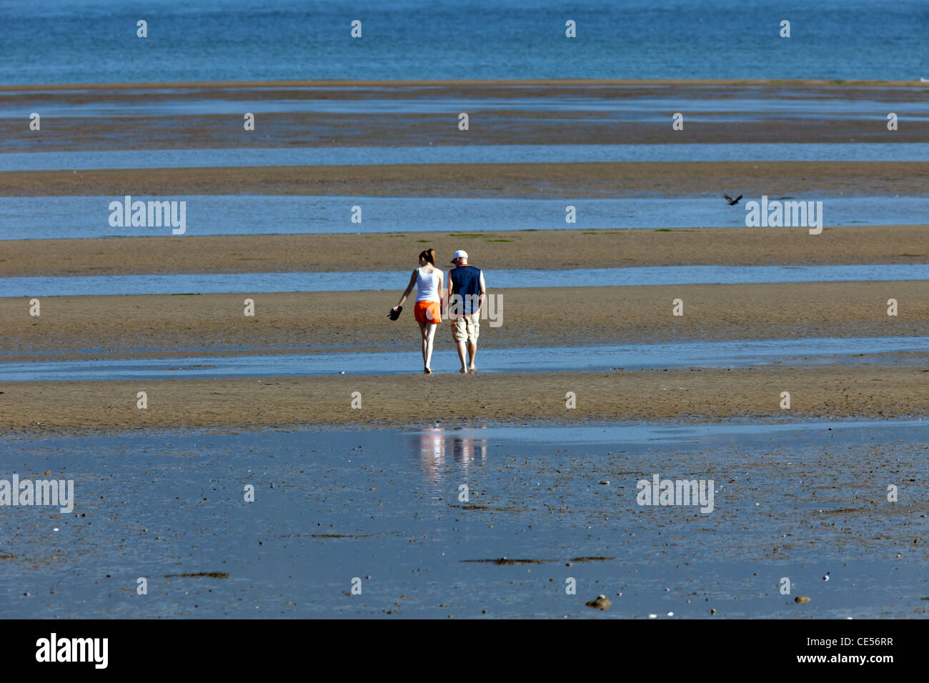 People walking on the Kitsilano beach in Vancouver, BC Stock Photo Alamy