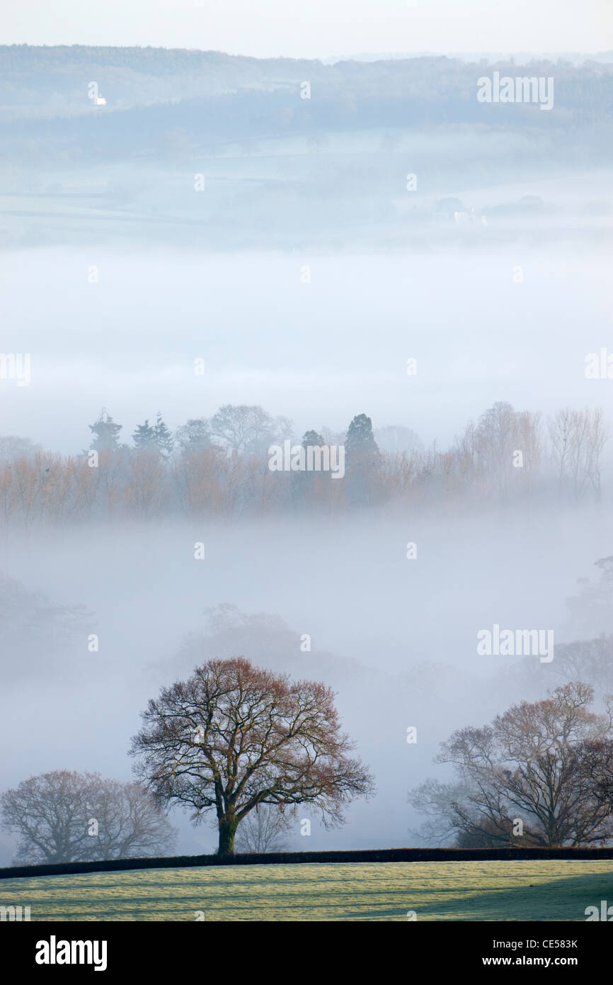 Mist covered countryside in the Exe Valley just north of Exeter, Devon, England. Winter (January) 2012. Stock Photo