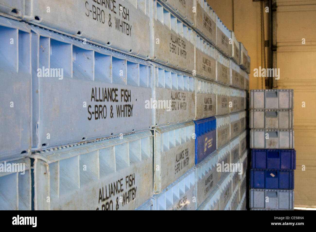 Plastic fish crates Stock Photo Alamy