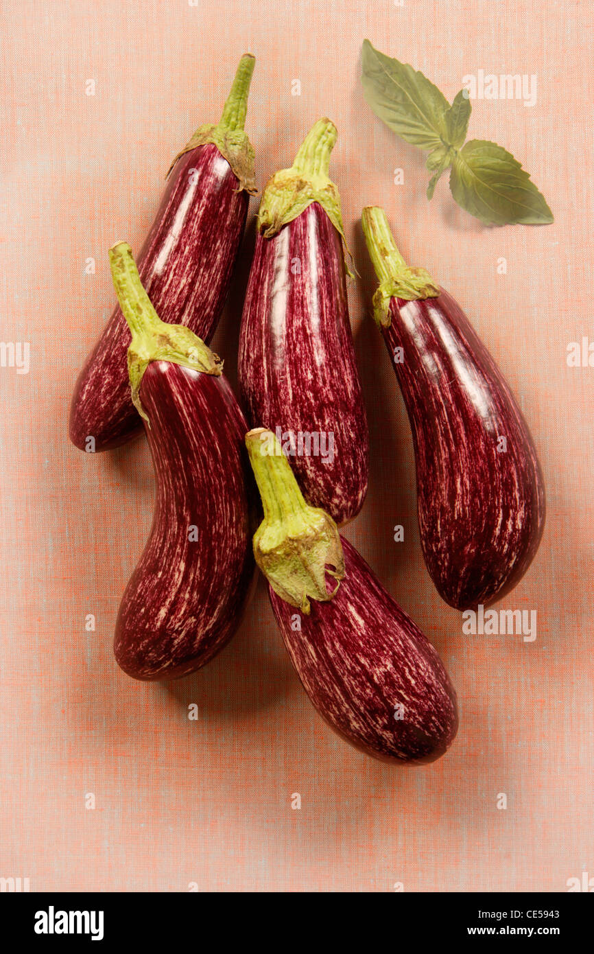 Eggplant variation with basil Stock Photo Alamy