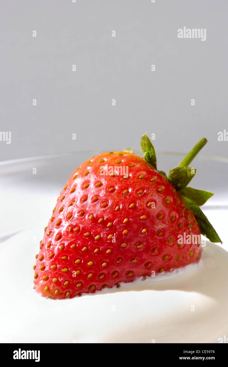 Closeup of an appetizing strawberry in cream on gray background Stock Photo