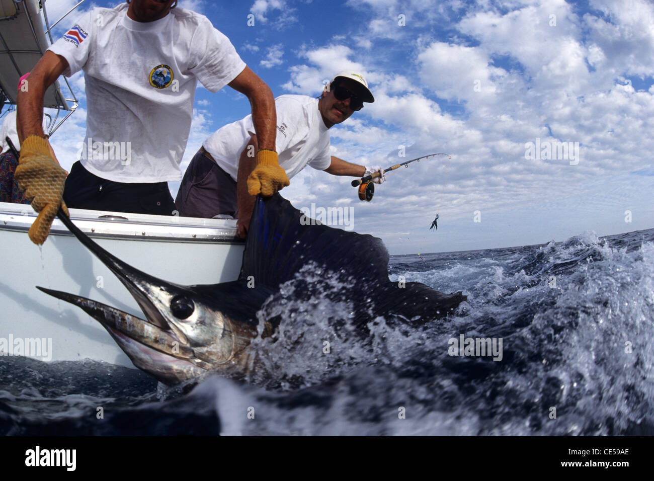 Deep sea fisherman catching a swordfish Stock Photo Alamy