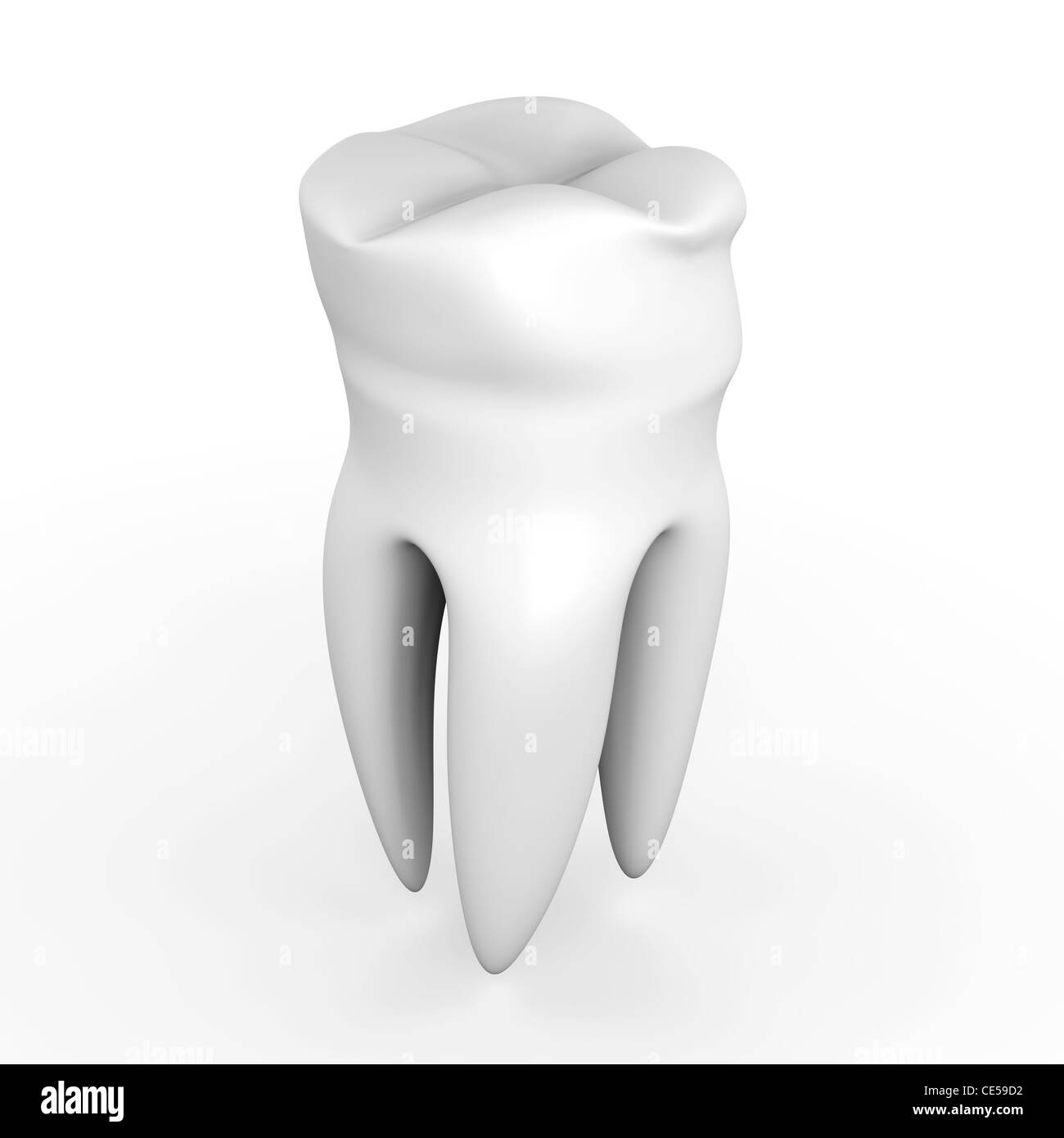 Human tooth 3d render dental Black and White Stock Photos & Images - Alamy