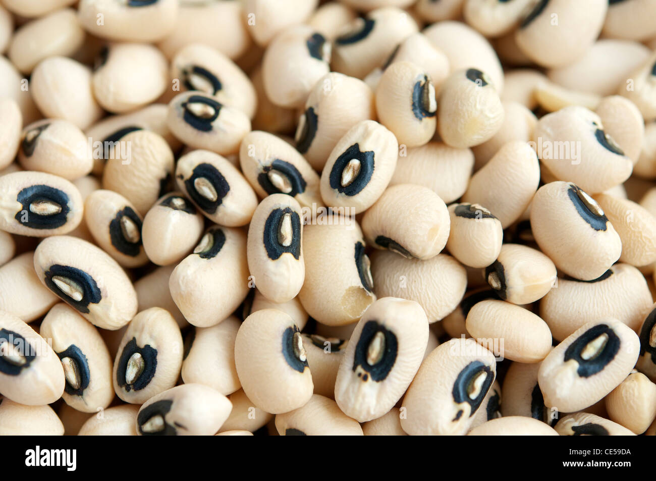 Close-up of black-eyed peas. Stock Photo