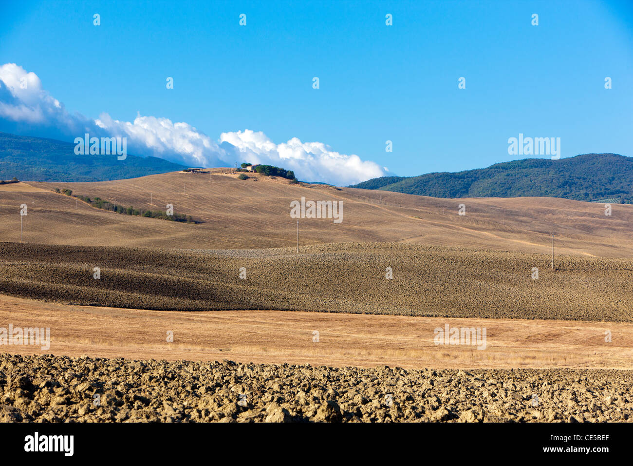 Rolling landscape near Contignano, Province of Siena, Tuscany, Italy, Europe Stock Photo