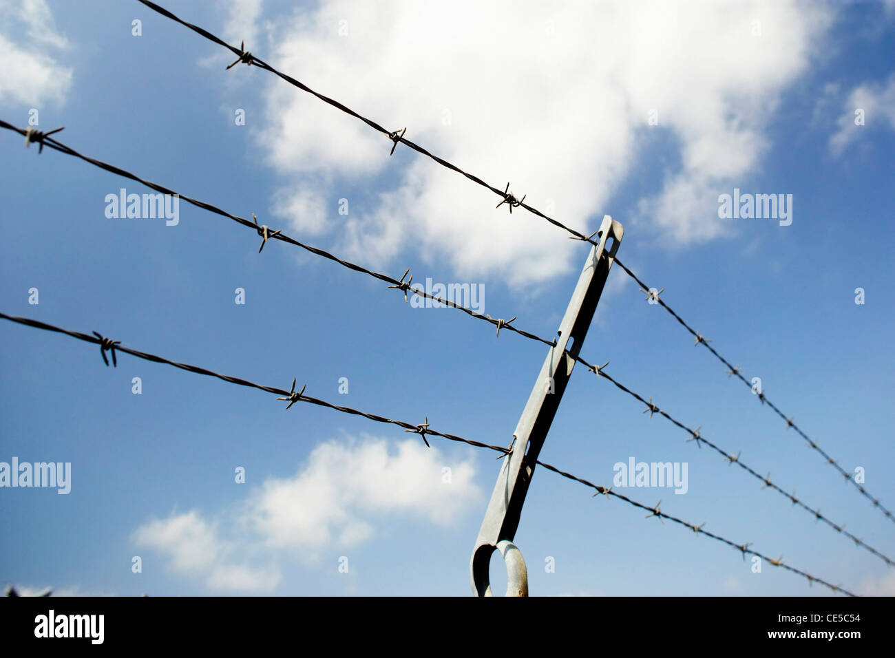 Barbed wire fence against a clear blue sky Stock Photo