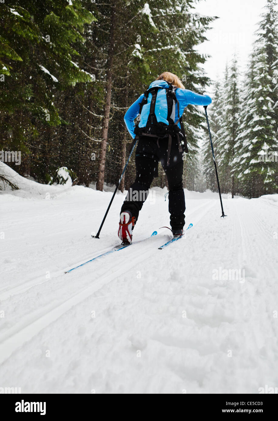 A Low Angle View Of A Woman Cross Country Skiing In The Classic