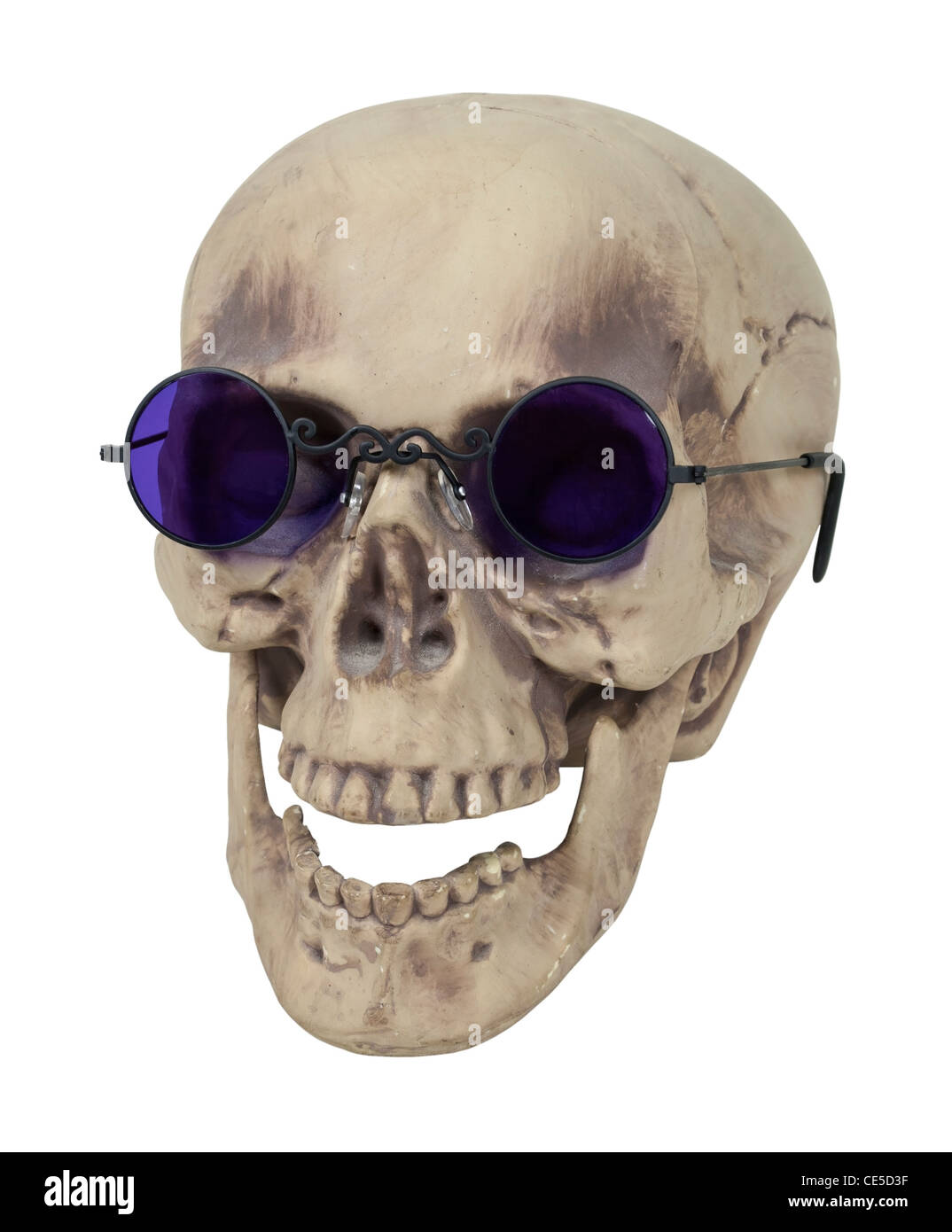 Skull with eye sockets and teeth wearing purple glasses - path included Stock Photo