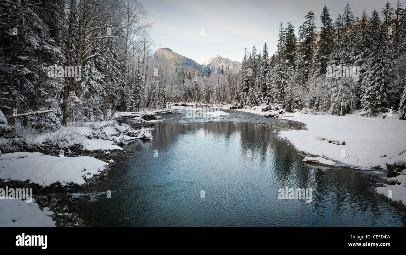 Looking down the Stillaguamish river in winter near th Big Four Ice caves, Washington, USA. Stock Photo