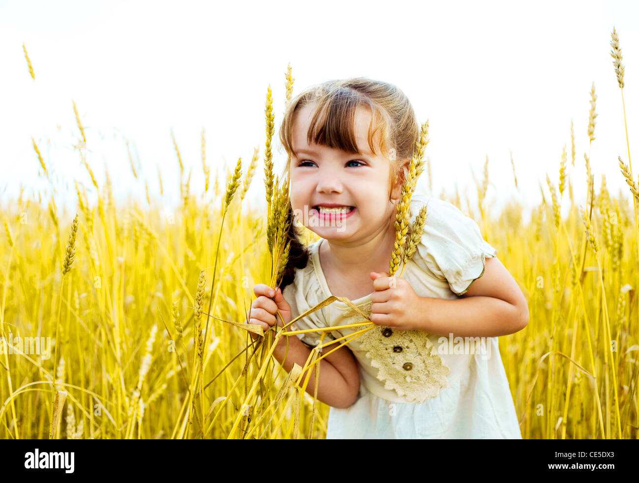 happy cute little girl in the wheat field on a warm summer day Stock ...
