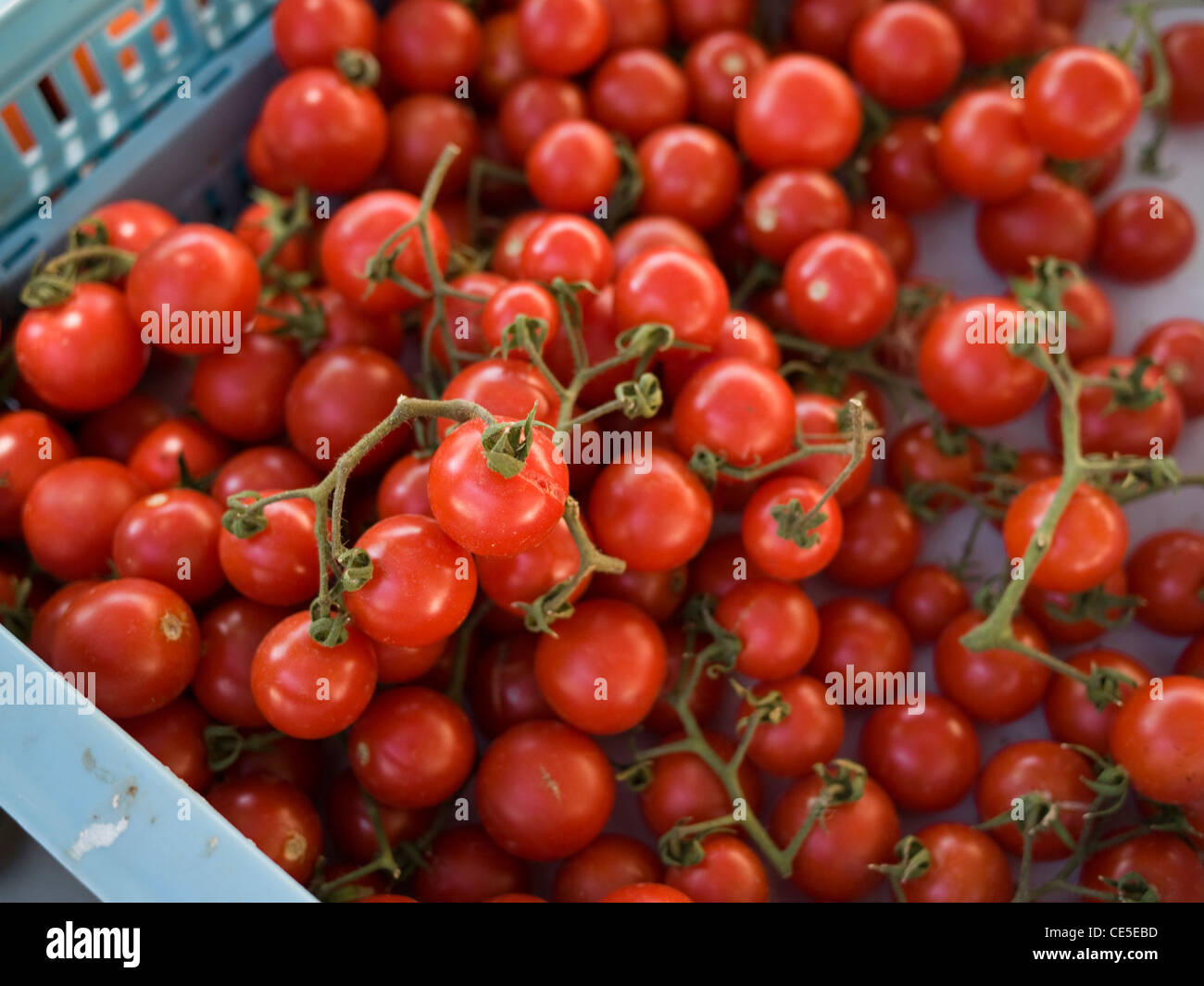 vine cherry tomatoes at a market in Stock Photo - Alamy