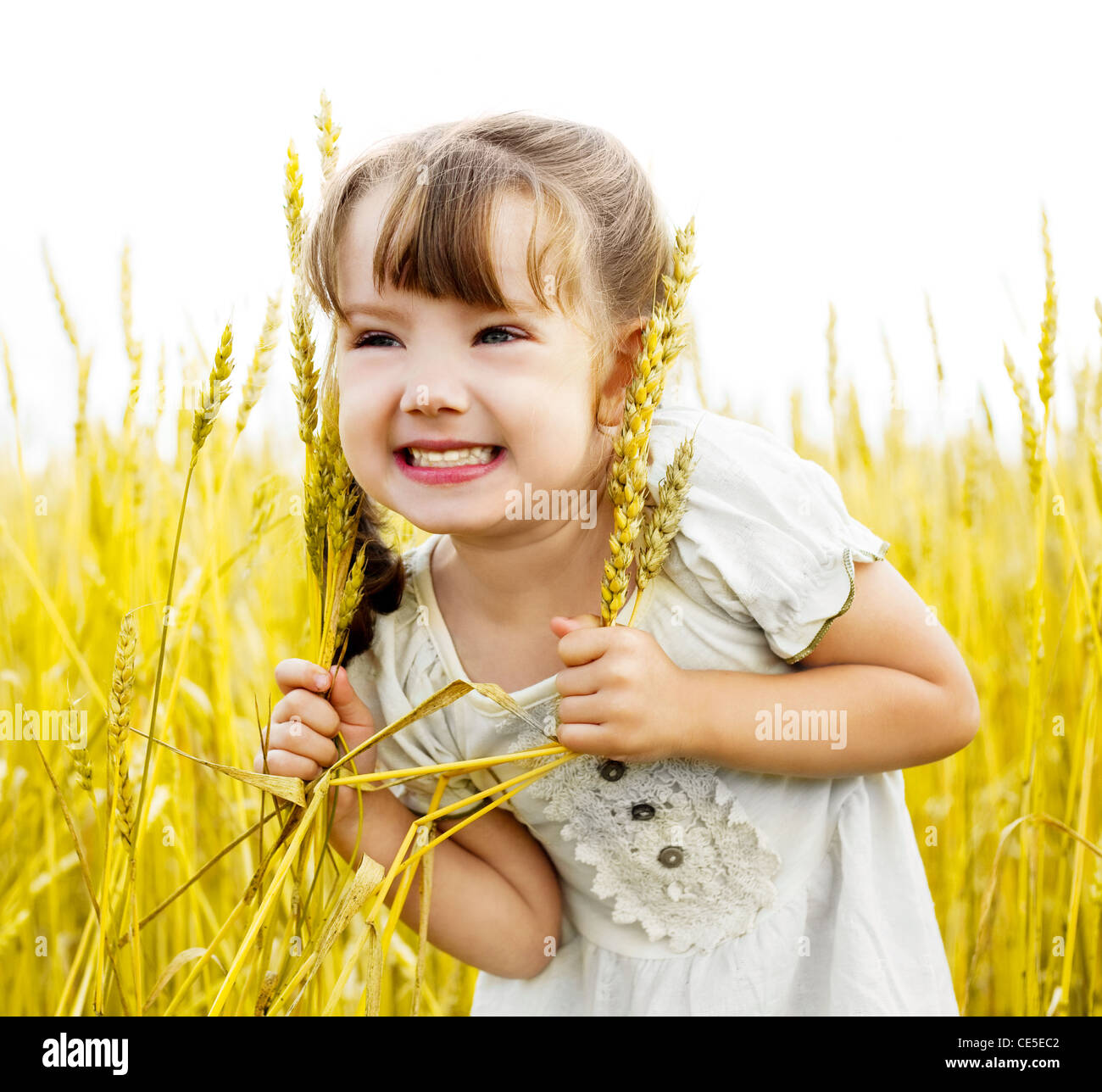cute happy little girl in the wheat field Stock Photo - Alamy