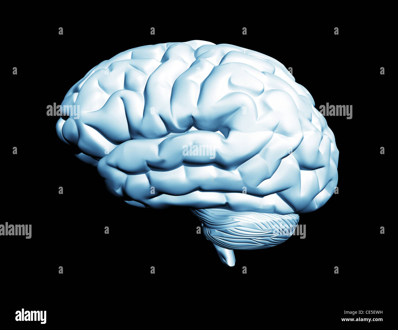 Human brain isolated on black background Stock Photo - Alamy