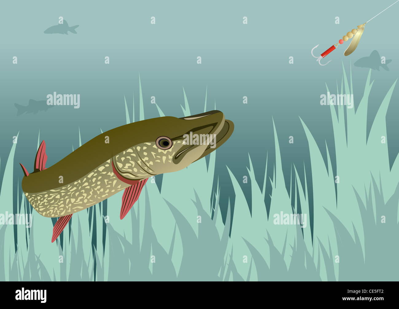 River and lake predator. Pike fishing gear chasing Stock Photo - Alamy