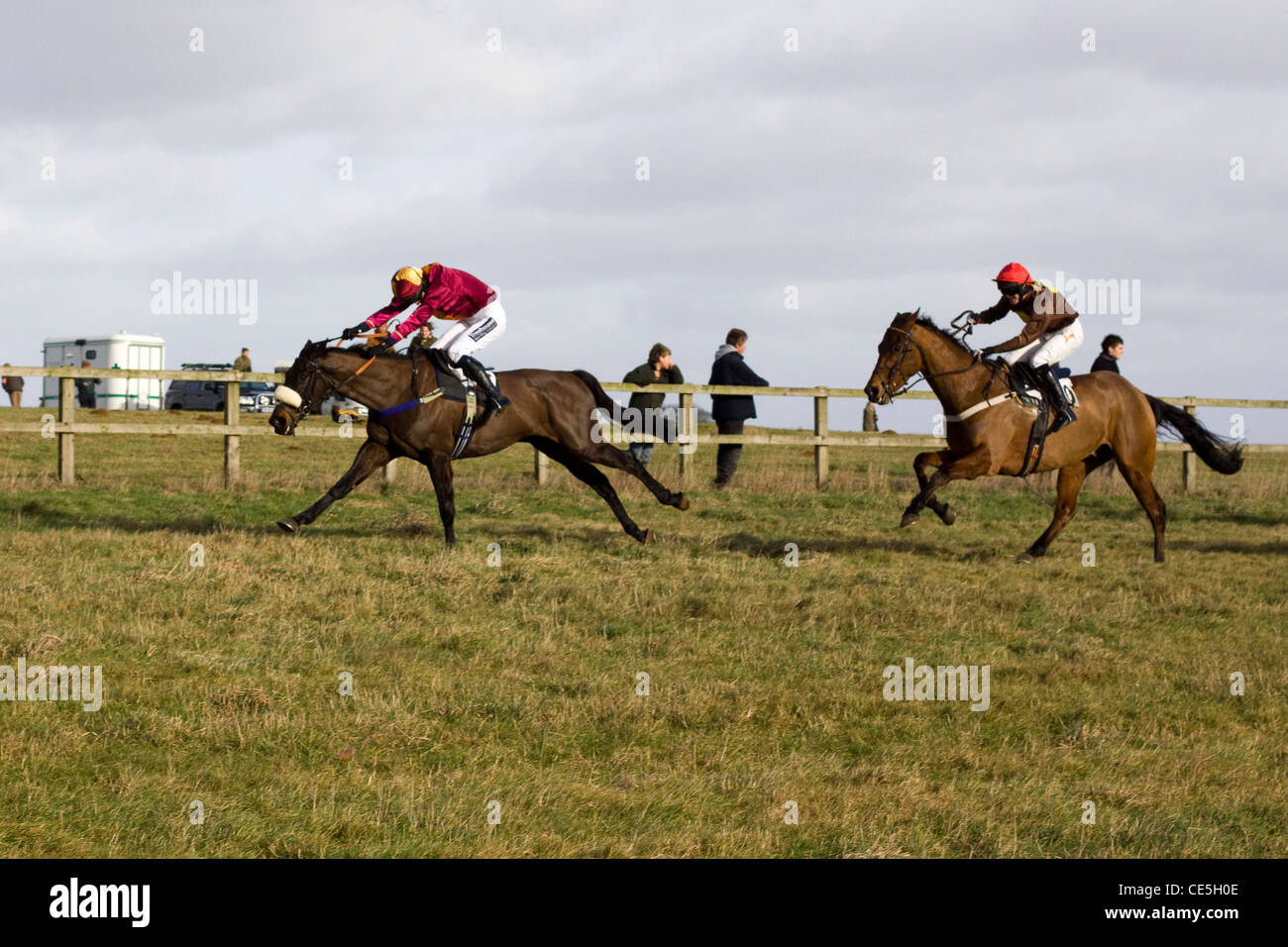 Thoroughbred Horses At The Steeplechase Heythrop Hunt Point To 