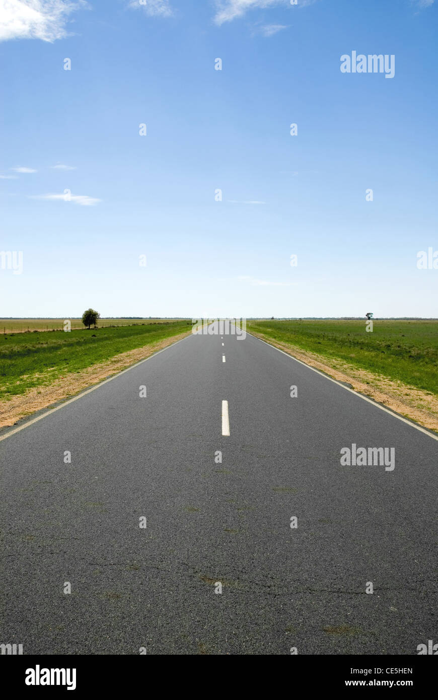 Asphalt road lonely tree hi-res stock photography and images - Alamy