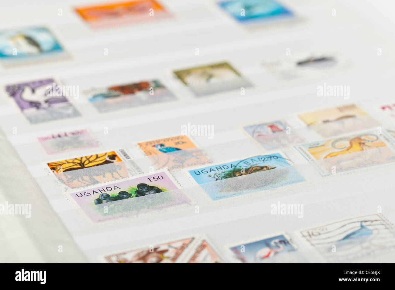 Stamp collecting album hi-res stock photography and images - Alamy