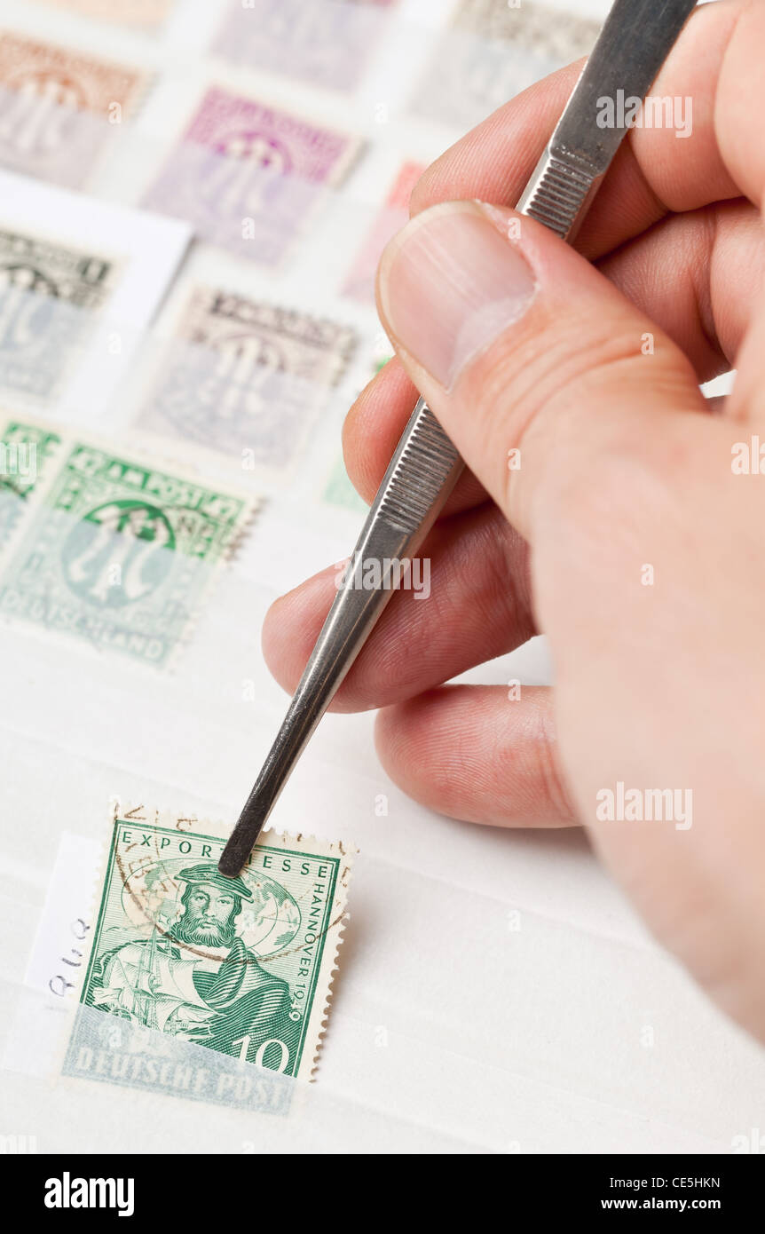 Man holding postage stamps from collection with tweezers Stock Photo