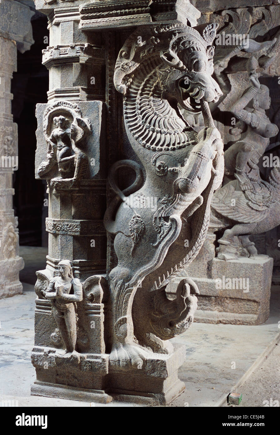Yali statue in Thousand Pillor hall in Meenakshi temple ; Madurai ; Tamil  Nadu ; India Stock Photo - Alamy