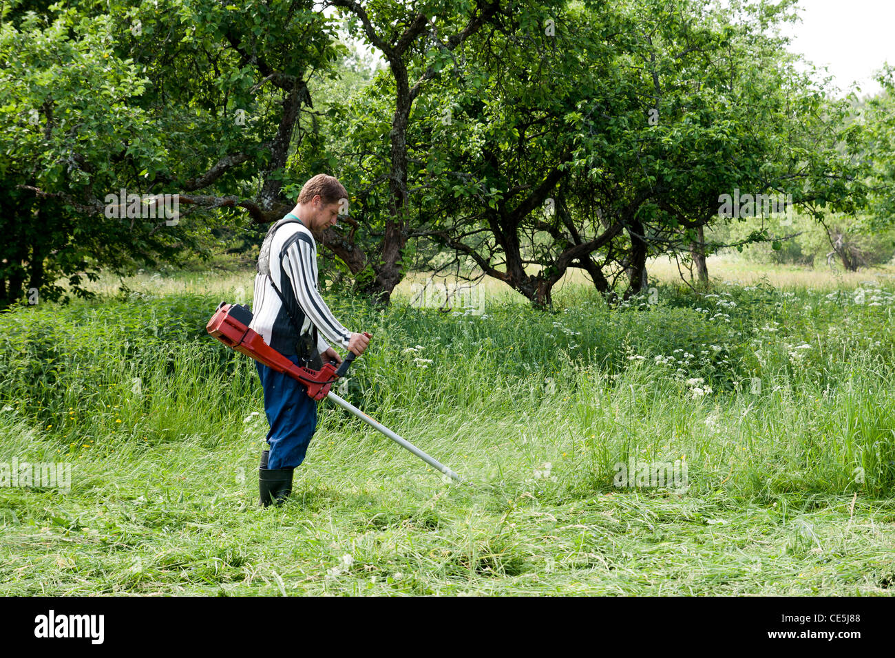 worker cutting grass in garden with the weed trimmer Stock Photo