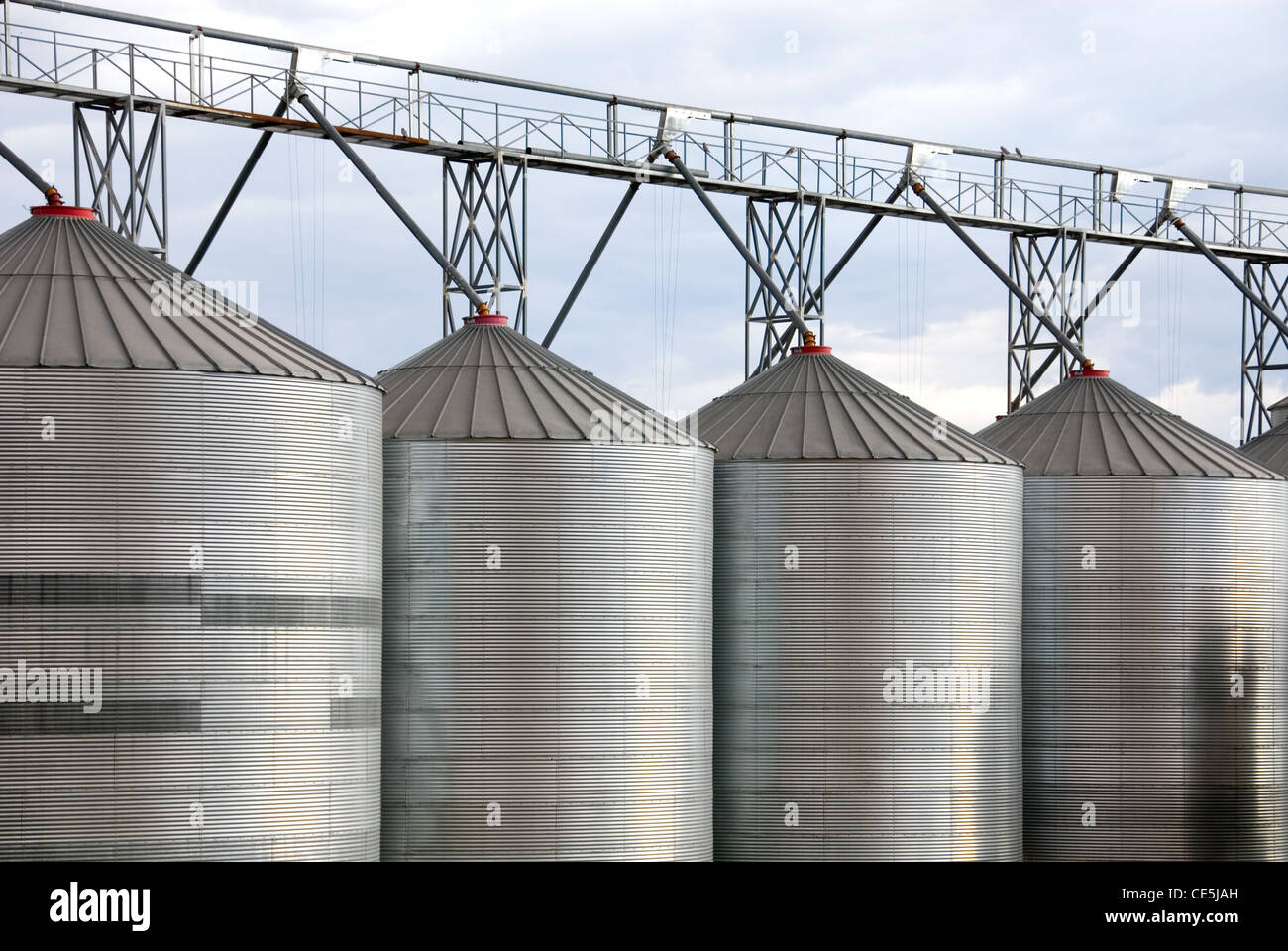 Steel Silos, used to store grain from various cereal crops, in the