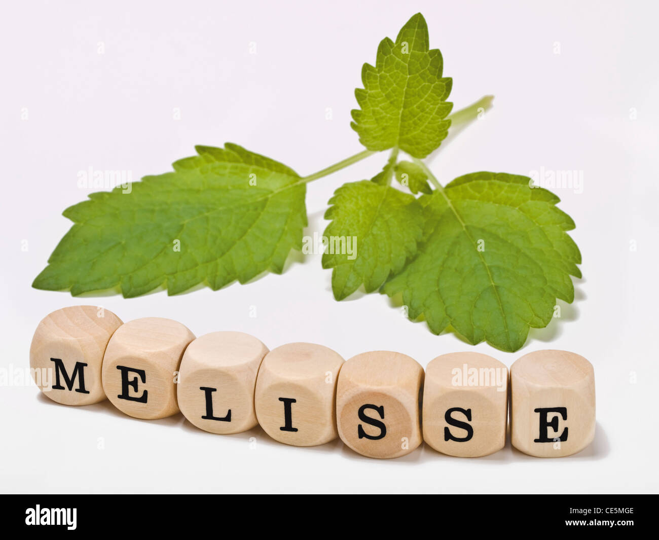 Detail photo of Lemon balm leaves alongside are cubes which form the word 'Lemon balm' in German Stock Photo