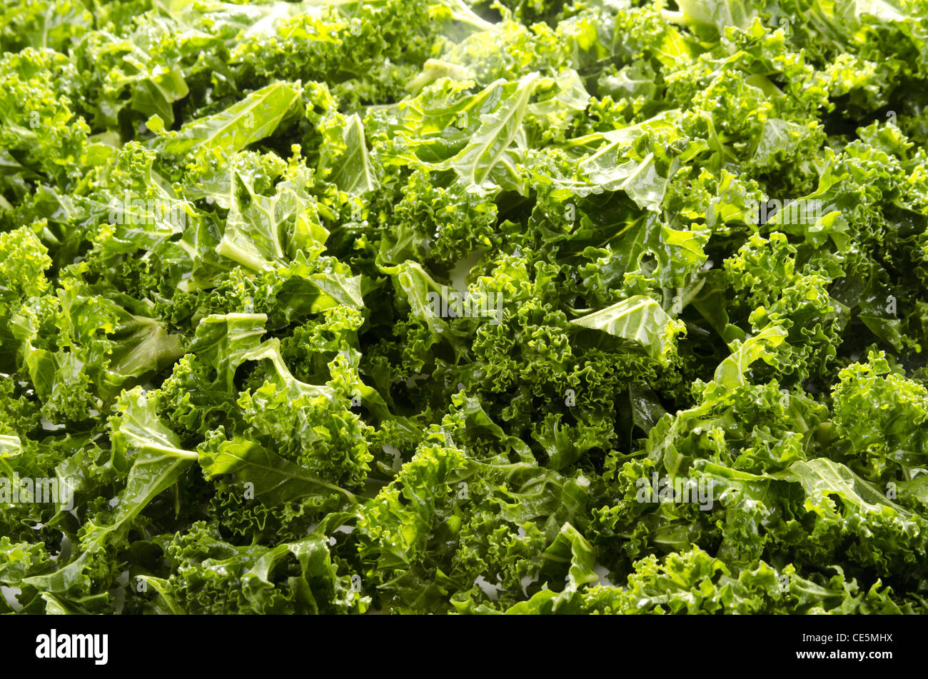 Washed and sliced curly kale Stock Photo