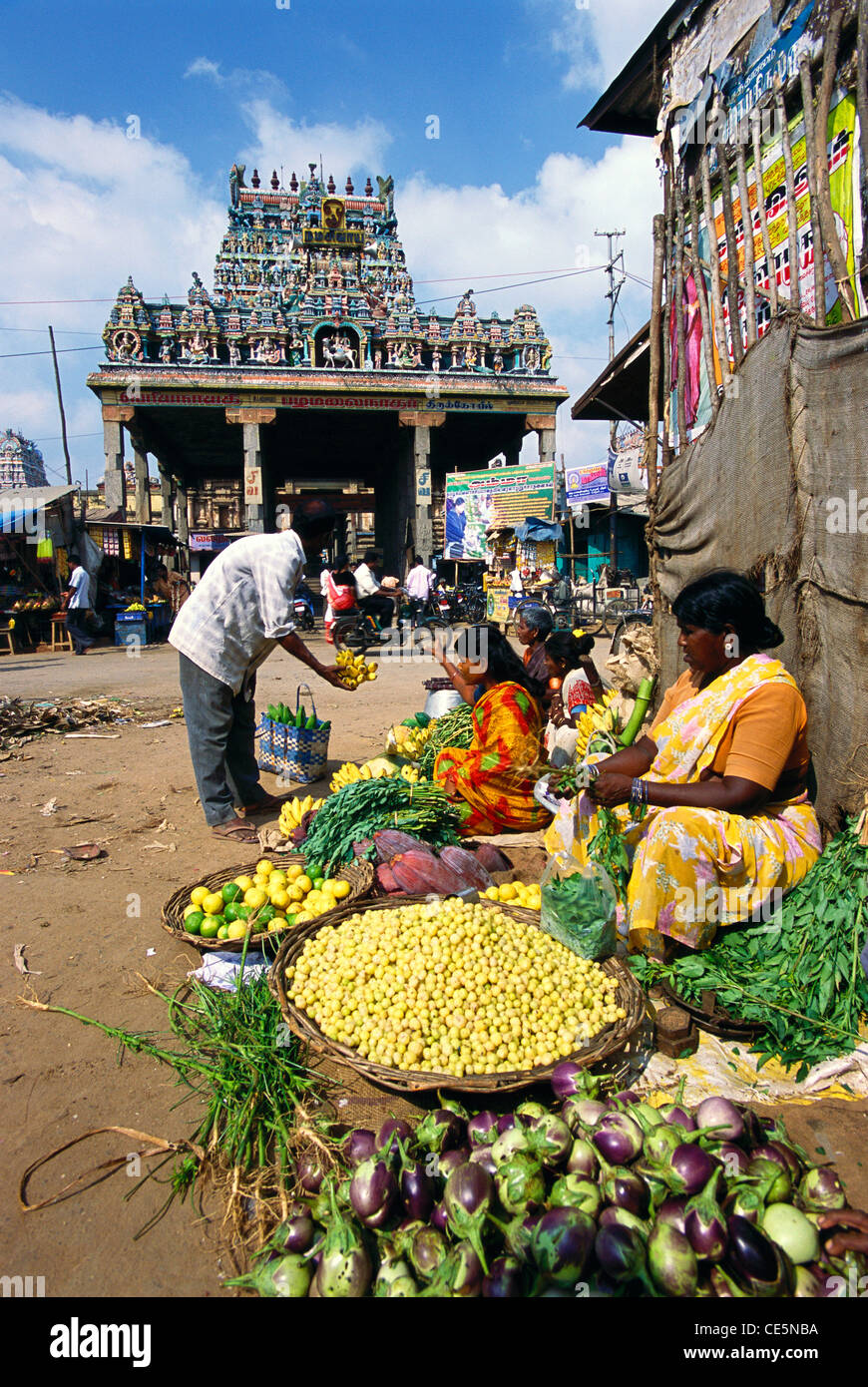 Virudhagireeswarar Shiva temple ; Vriddhagiriswarar ; Virudhachalam ; Pazhamalaim ; Thirumudhukundran ; Cuddalore ; Tamil Nadu ; India ; asia Stock Photo