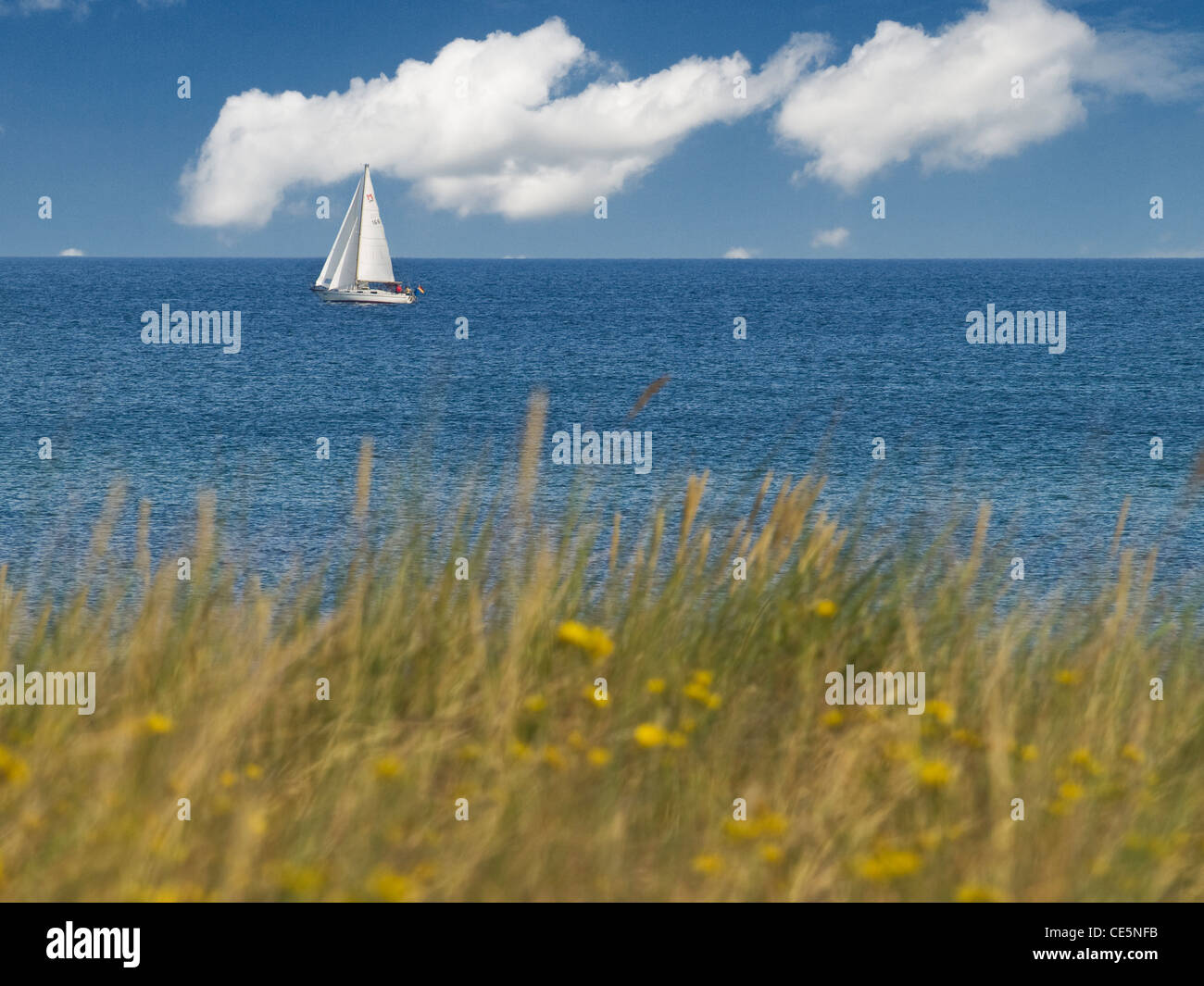 a sailer in front of the coastline Stock Photo