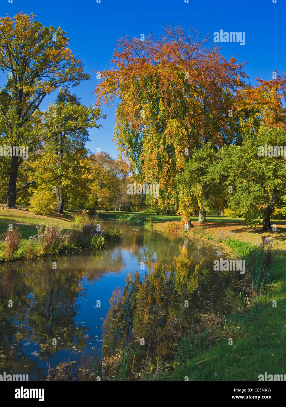 Bunten High Resolution Stock Photography and Images - Alamy