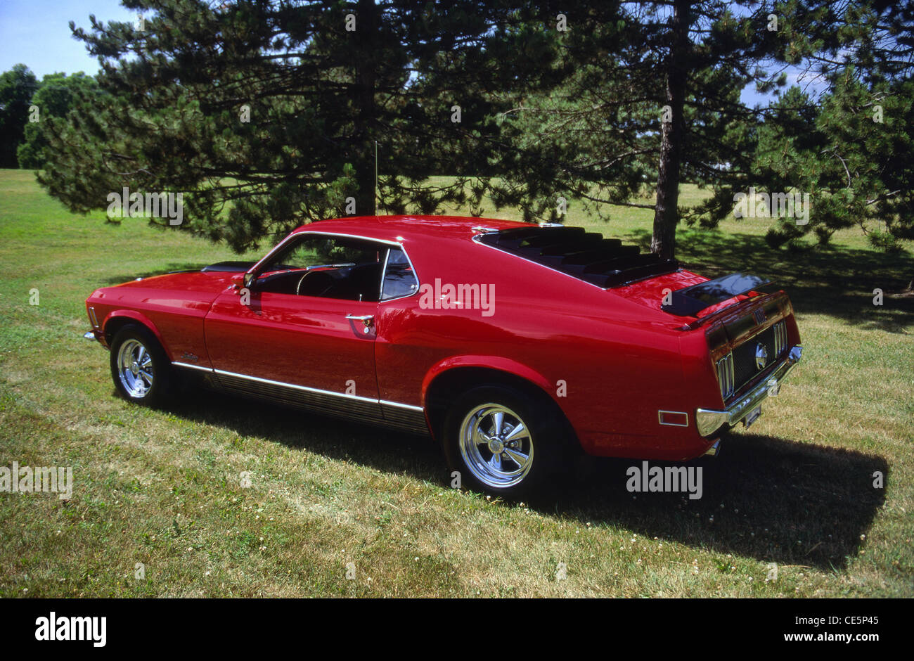 Mustang mach 1 fastback hi-res stock photography and images - Alamy
