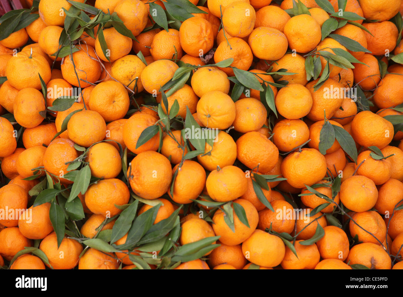 Africa orange citrus hires stock photography and images Alamy