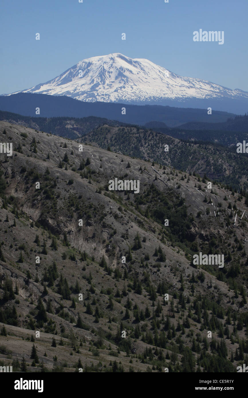Mount Adams Volcano washington Stock Photo Alamy