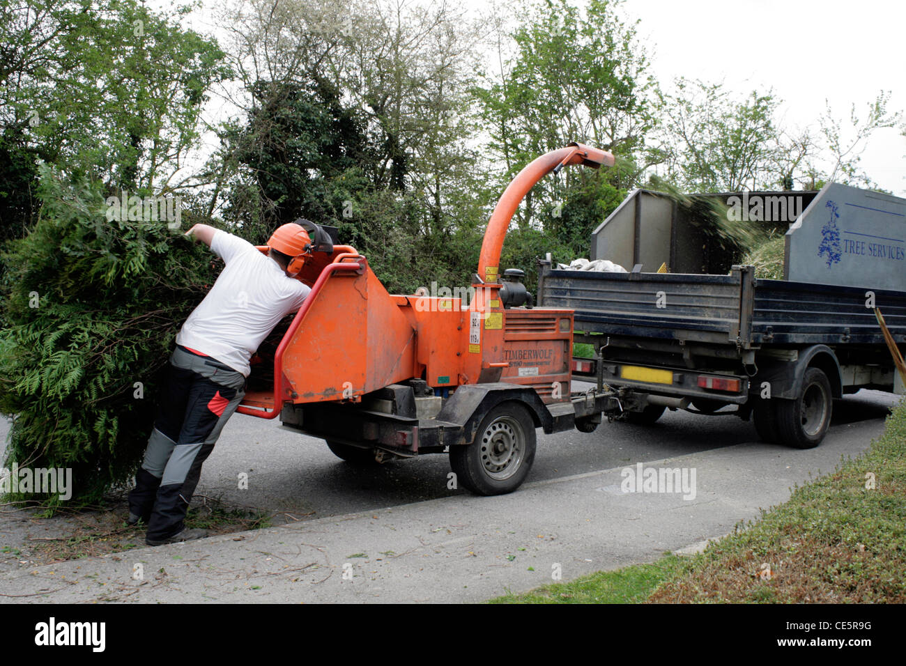 Tree Shredding Machine Stock Photos & Tree Shredding Machine Stock Images Alamy