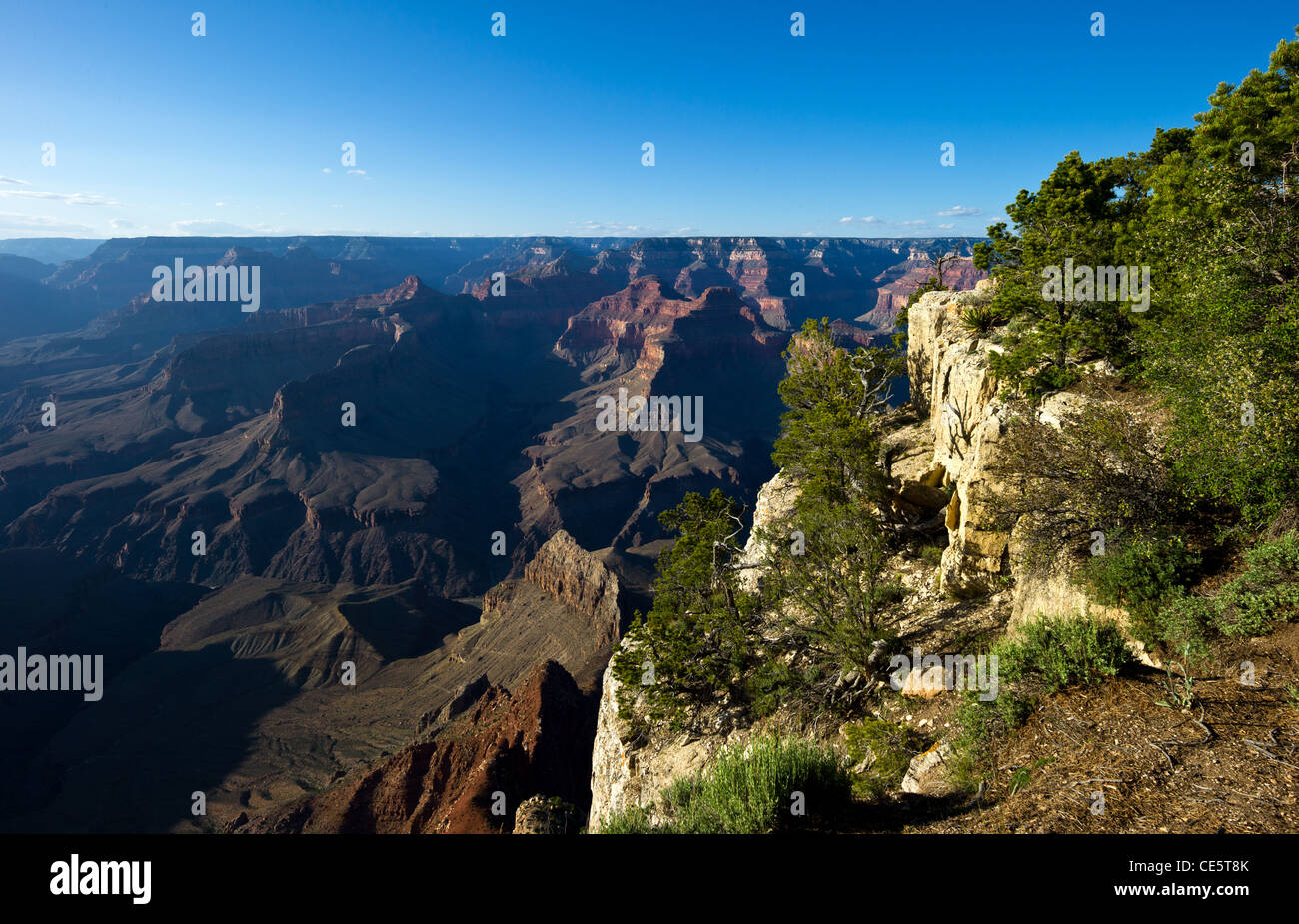 U.S.A., Arizona, the Grand Canyon South Rim Stock Photo - Alamy