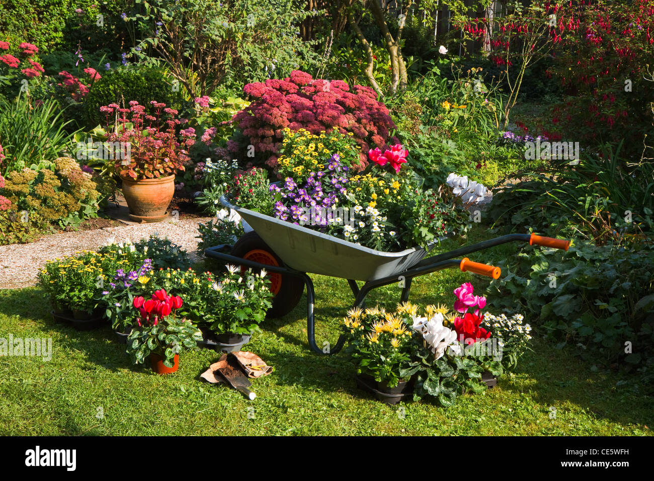 Wheelbarrow garden gardening hi-res stock photography and images - Alamy