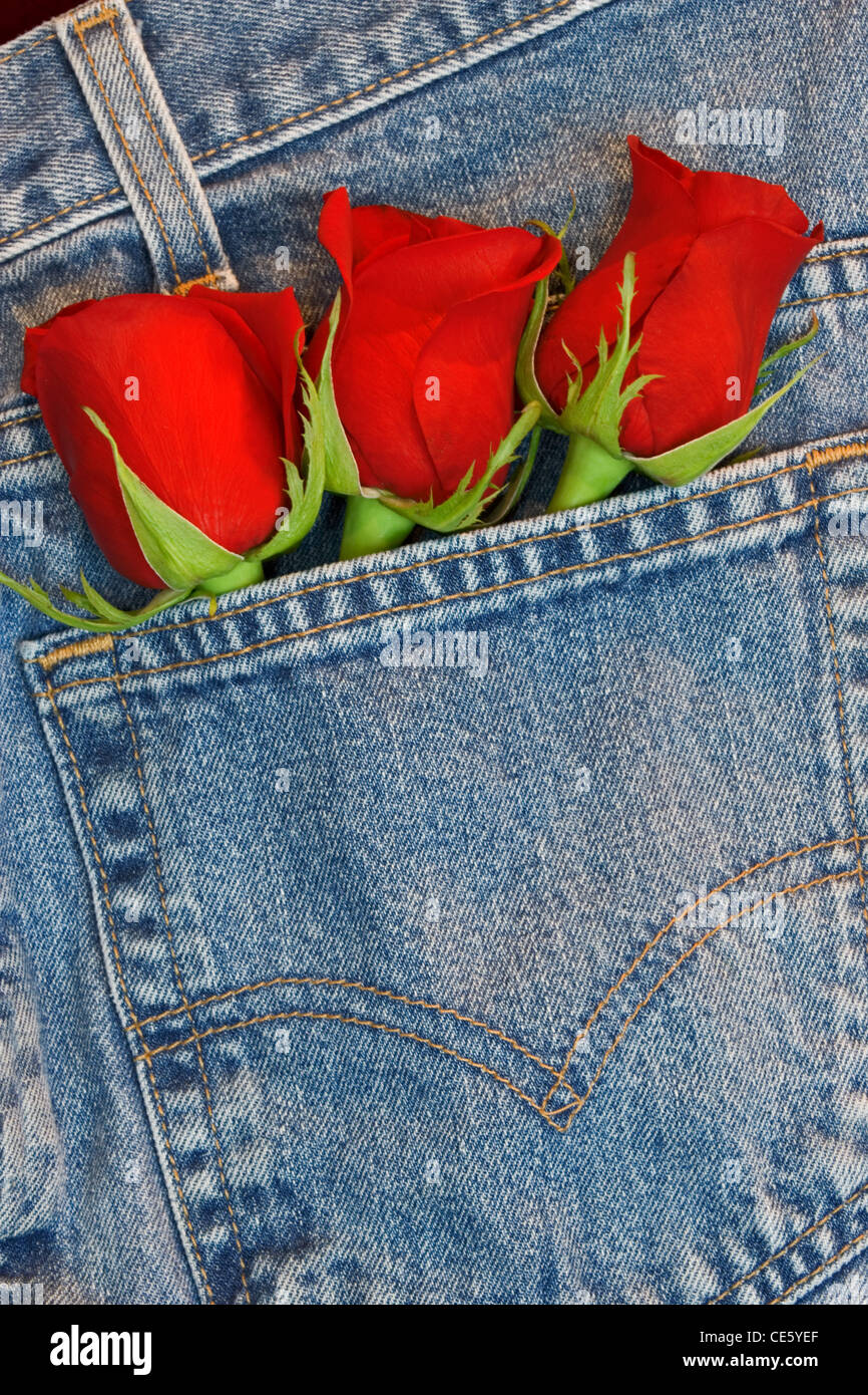 jeans with red roses