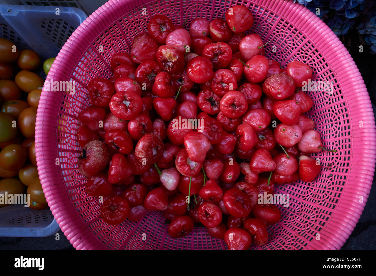 Balinese rose apple fruit being sold at the Ubud Markets Indonesia Stock Photo