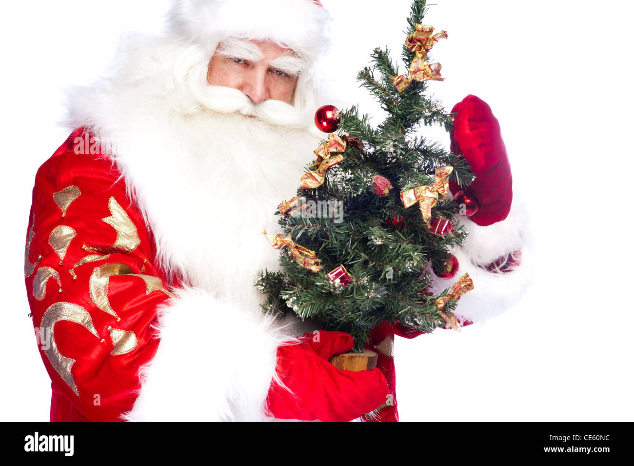 Christmas theme: Santa Claus holding christmas tree and his bag full of ...