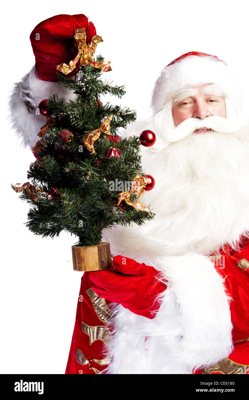 Christmas theme: Santa Claus holding christmas tree and his bag full of ...