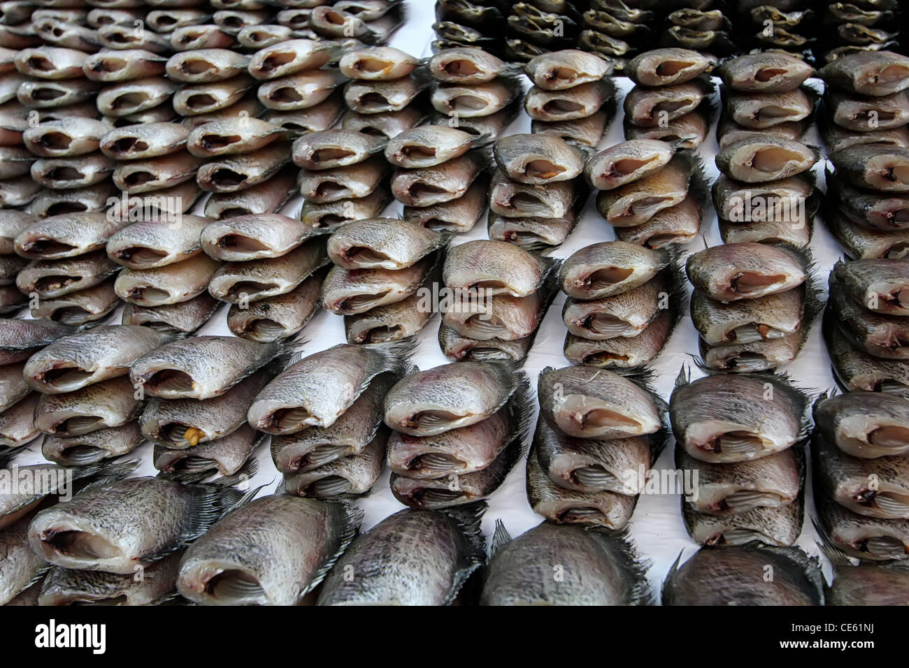 Sun-Dried Fish in Bangkok, Thailand Stock Photo