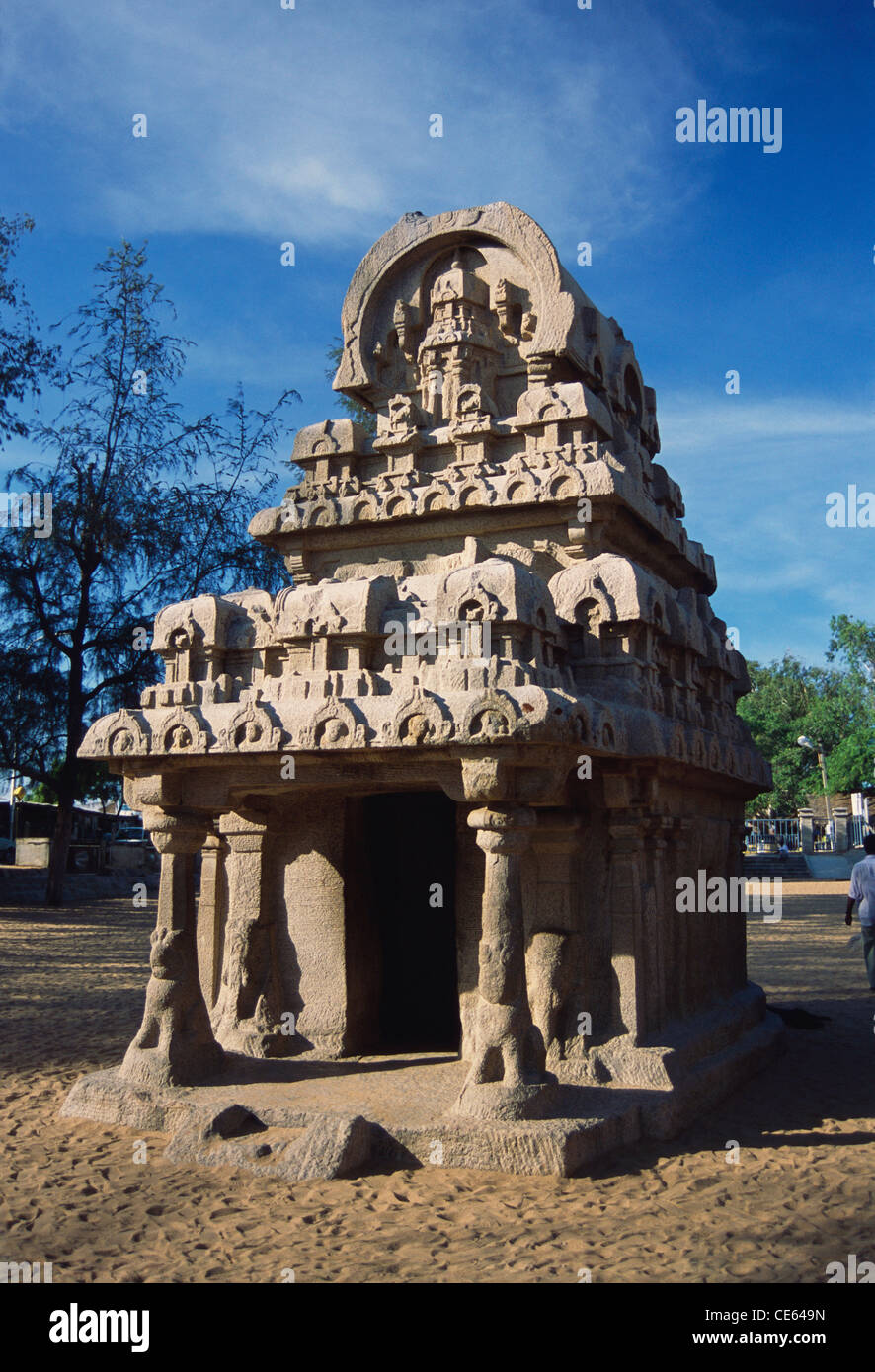 Pancha Rathas ; Five Chariots ; Nakula Sahadeva Ratha ; Mahabalipuram ; Mamallapuram ; Chengalpattu district ; Tamil Nadu ; India ; Asia Stock Photo